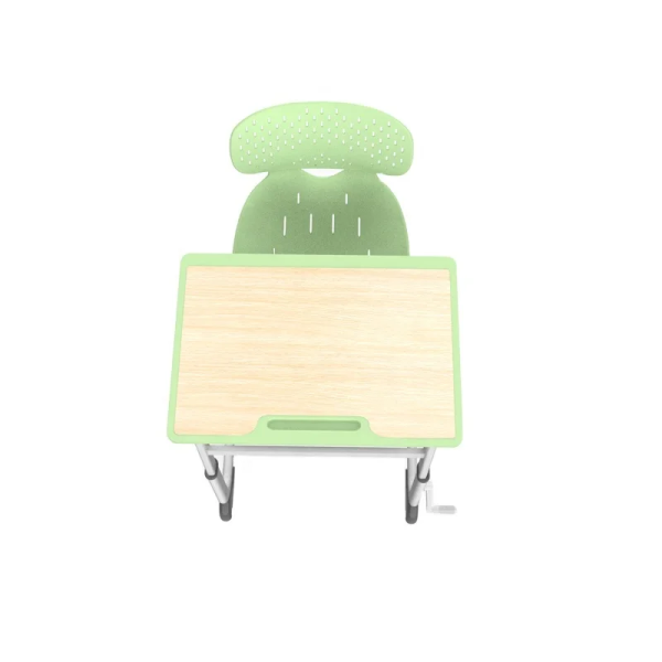 Primary And Secondary School Students Have