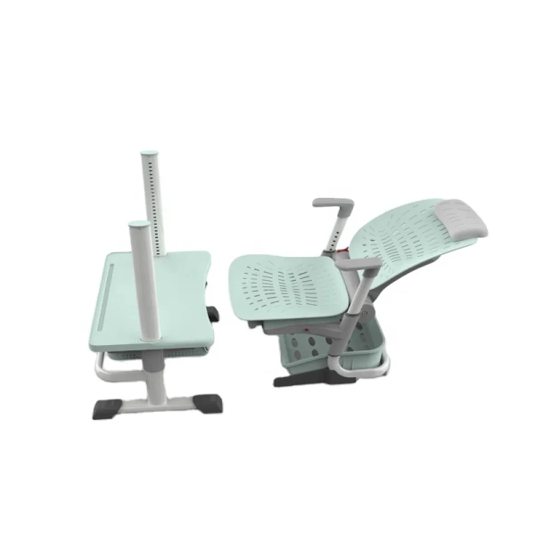 Customized Student Lunch Break Desks And